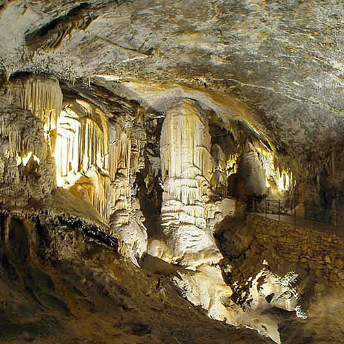 Cueva de Postojna, ©Boštjan Burger, Wikimedia Commons