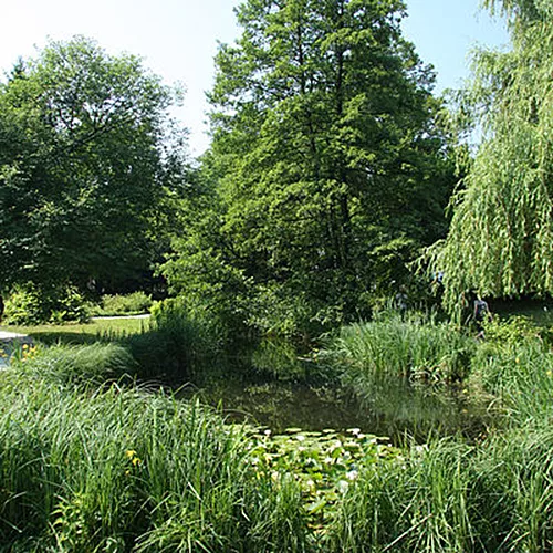 Jardín Botánico de Liubliana, ©Yerpo, Wikimedia Commons